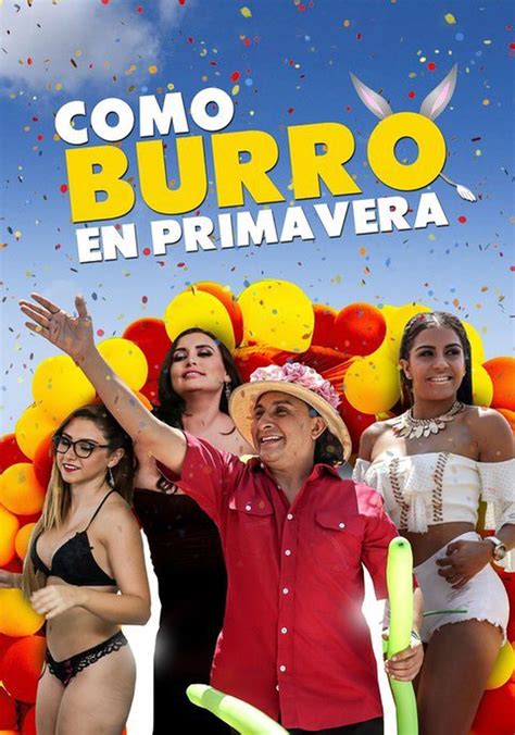 xxx burro|Watch Como Burro en Primavera (2018) .